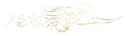 Drachen3a 256 Farben Internet-Transparent flip